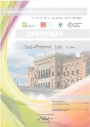 2013_Sarajevo-724x1024
