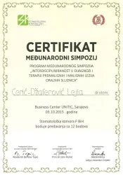 2015_Sarajevo_ll-720x1024